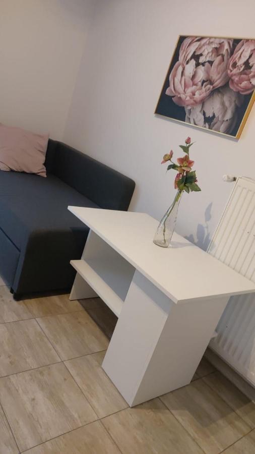 Apartamenty Grapa Szum Rzeki Parking Free วีสวา ภายนอก รูปภาพ